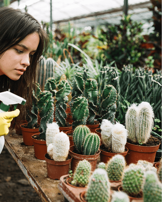 Arizona Desert Grow Center